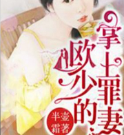 欧少的掌上罪妻