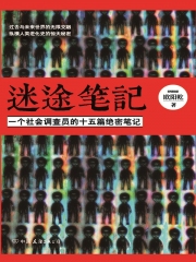迷途笔记：社会调查绝密笔记