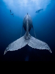 冥想几分钟，等于充电几小时