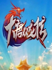 大唐双龙传精录