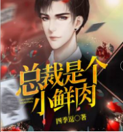 总裁是个小鲜肉