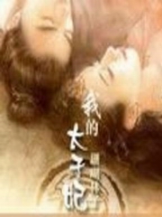 冰之双宠:我的太子妃