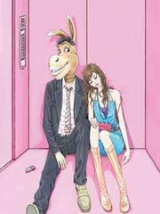 和美女同事的电梯一夜