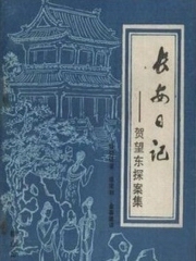 长安日记：贺望东探案集