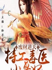 废材逆天：特工毒医小兽妃