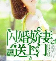 闪婚娇妻送上门