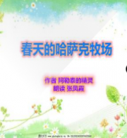 春天的哈萨克牧场