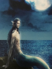 芙爱维尔海的人鱼