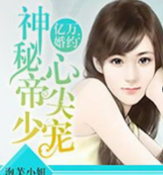 神秘帝少心尖宠