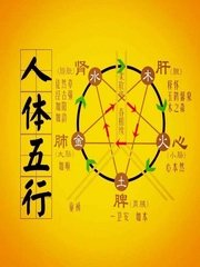 黄帝内经五脏音乐养生疗愈 五行