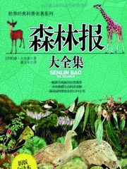 森林报