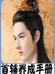 首辅养成手册