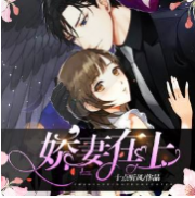 娇妻在上Ⅰ