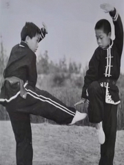 八极拳拳谱解读