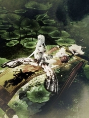 禁区之新疆探秘