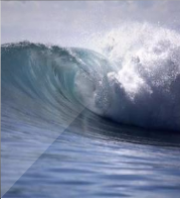 弄潮｜草根赵国栋成长史