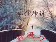 夺命神针旋风刀