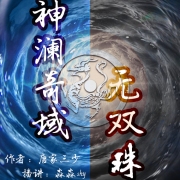 神澜奇域无双珠