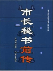 市长秘书前传