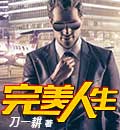 完美人生