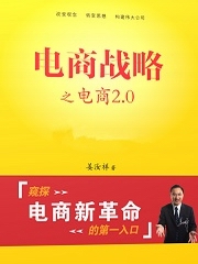 电商战略之电商2.0