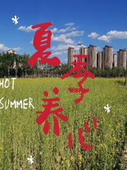 夏季养生之养心