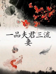 一品夫君三流妻