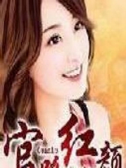 官场无红颜10权力暗战之最后搏击