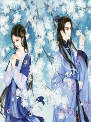 傲世双娇，一妃连城