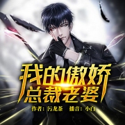 我的傲娇总裁老婆（上部）