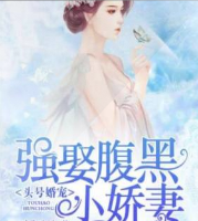 强娶腹黑小娇妻
