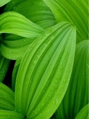 打穿西游的唐僧