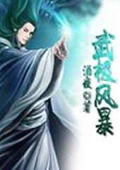 武极风暴