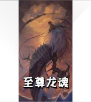 至尊龙魂