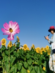 没心没肺，安然入睡