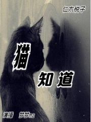猫知道