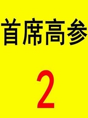 首席高参2