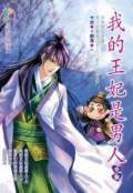 我的王妃是男人