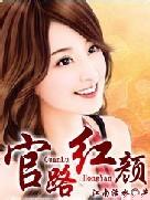 官场无红颜6权力暗战之机关较量