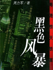 黑色风暴：粤港惊天铁案