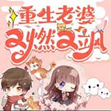 重生:老婆又燃又飒