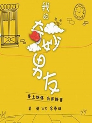 我的奇妙男友