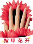 指甲花开