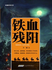铁血残阳