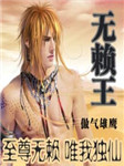 无赖王第二部