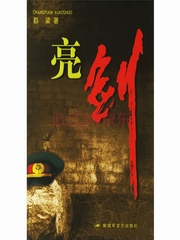长篇小说 亮剑
