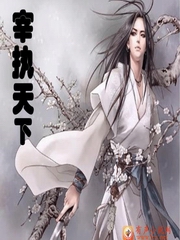 宰执天下第三辑（401——600集）