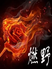 燃野[二]：夜阑天