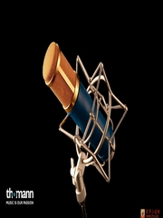 纪实小说——志愿军不为人知的秘密 专辑 2（50—79）