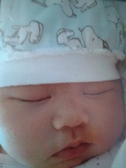 1992年马哈希内观开示